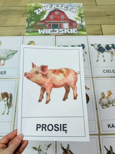 Na Wsi/ Farma/ Zwierzęta Wiejskie - Na Wsi - Plansze z Ilustracjami zwierzat 