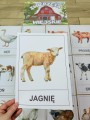 Na Wsi/ Farma/ Zwierzęta Wiejskie - Na Wsi - Plansze z Ilustracjami zwierzat 
