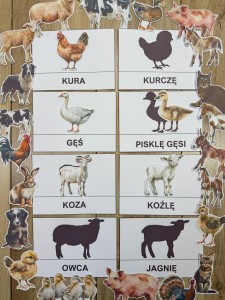 Na Wsi/ Farma/ Zwierzęta Wiejskie - Wiejskie Zwierzęta- Dopasowywanie Cienia
