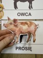 Na Wsi/ Farma/ Zwierzęta Wiejskie - Wiejskie Zwierzęta- Dopasowywanie Cienia