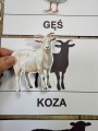 Na Wsi/ Farma/ Zwierzęta Wiejskie - Wiejskie Zwierzęta- Dopasowywanie Cienia