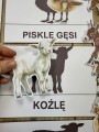Na Wsi/ Farma/ Zwierzęta Wiejskie - Wiejskie Zwierzęta- Dopasowywanie Cienia