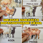 Na Wsi/ Farma/ Zwierzęta Wiejskie - Wiejskie Zwierzęta- Dopasowywanie Cienia