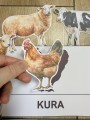 Na Wsi/ Farma/ Zwierzęta Wiejskie - Wiejskie Zwierzęta- Dopasowywanie Cienia 