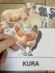 Na Wsi/ Farma/ Zwierzęta Wiejskie - Wiejskie Zwierzęta- Dopasowywanie Cienia 