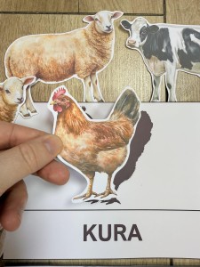 Na Wsi/ Farma/ Zwierzęta Wiejskie - Wiejskie Zwierzęta- Dopasowywanie Cienia 