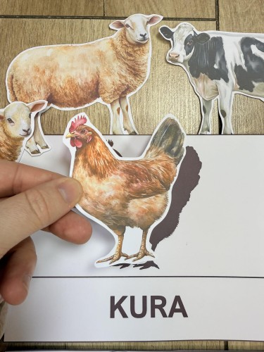 Na Wsi/ Farma/ Zwierzęta Wiejskie - Wiejskie Zwierzęta- Dopasowywanie Cienia 