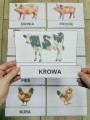 Na Wsi/ Farma/ Zwierzęta Wiejskie - Dopasowywanie napisów do zwierząt
