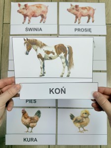 Na Wsi/ Farma/ Zwierzęta Wiejskie - Dopasowywanie napisów do zwierząt