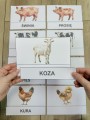 Na Wsi/ Farma/ Zwierzęta Wiejskie - Dopasowywanie napisów do zwierząt