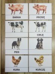 Na Wsi/ Farma/ Zwierzęta Wiejskie - Dopasowywanie napisów do zwierząt 