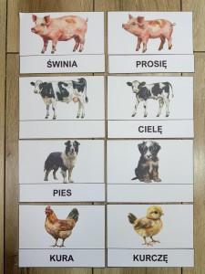 Na Wsi/ Farma/ Zwierzęta Wiejskie - Dopasowywanie napisów do zwierząt 