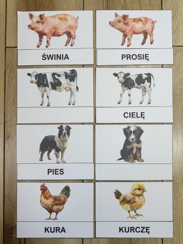 Na Wsi/ Farma/ Zwierzęta Wiejskie - Dopasowywanie napisów do zwierząt 