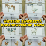 Na Wsi/ Farma/ Zwierzęta Wiejskie - Dopasowywanie napisów do zwierząt  