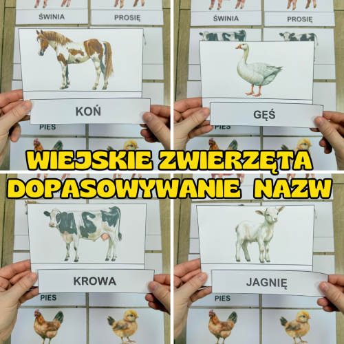 Na Wsi/ Farma/ Zwierzęta Wiejskie - Dopasowywanie napisów do zwierząt  