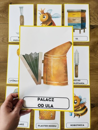  Plansze Z Ilustracjami i Nazwami - Dzień Pszczoły