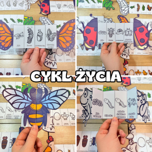  Cykl Życia Zwierząt  - Książeczki Rozkładane