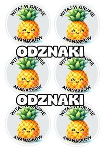 Ananasy - Witajcie w Grupie - Odznaki / Medale 