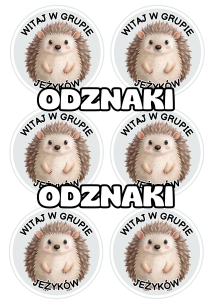 Jeże - Witajcie w Grupie - Odznaki / Medale    