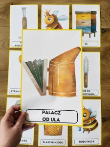 Pszczółki  - Plansze z ilustracjami i nazwami 